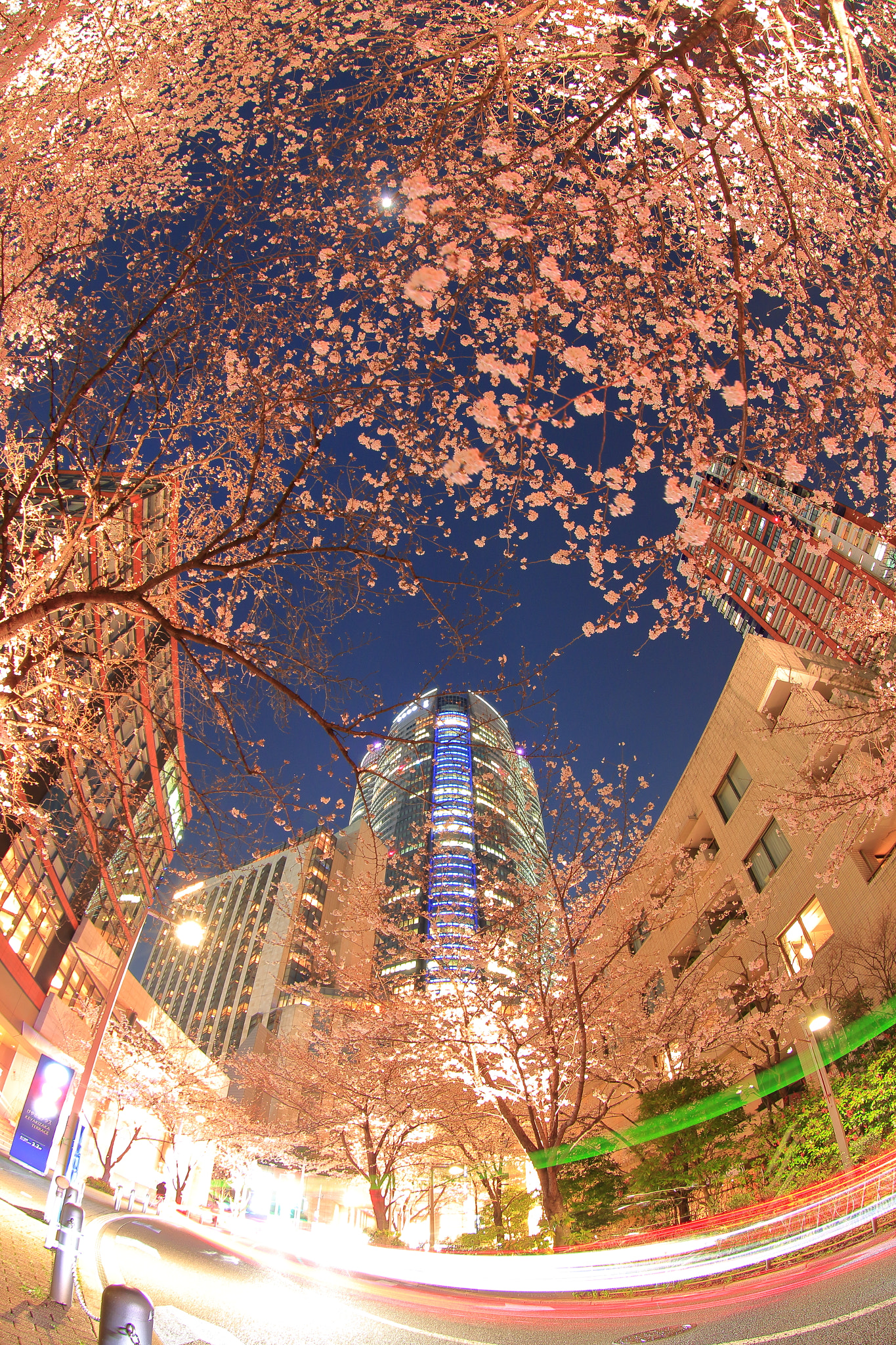 Canon EF 8-15mm F4L Fisheye USM sample photo. Roppingi hills and cherry blossoms photography