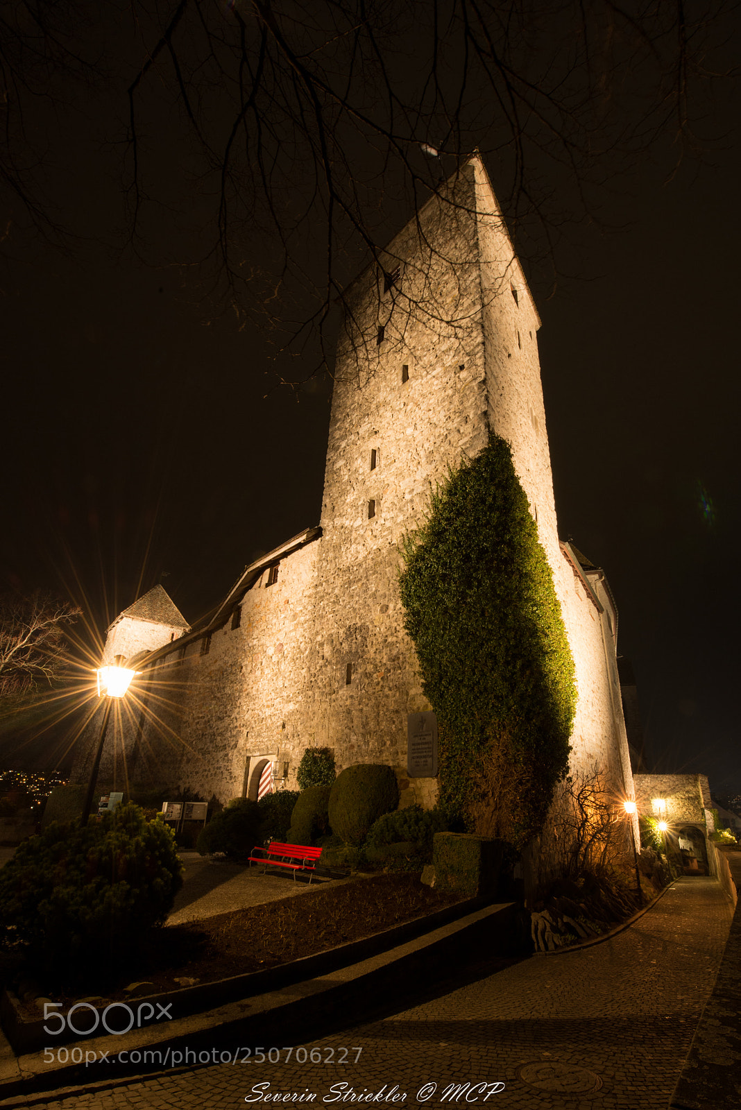 Nikon D800 sample photo. Rapperswil castle photography