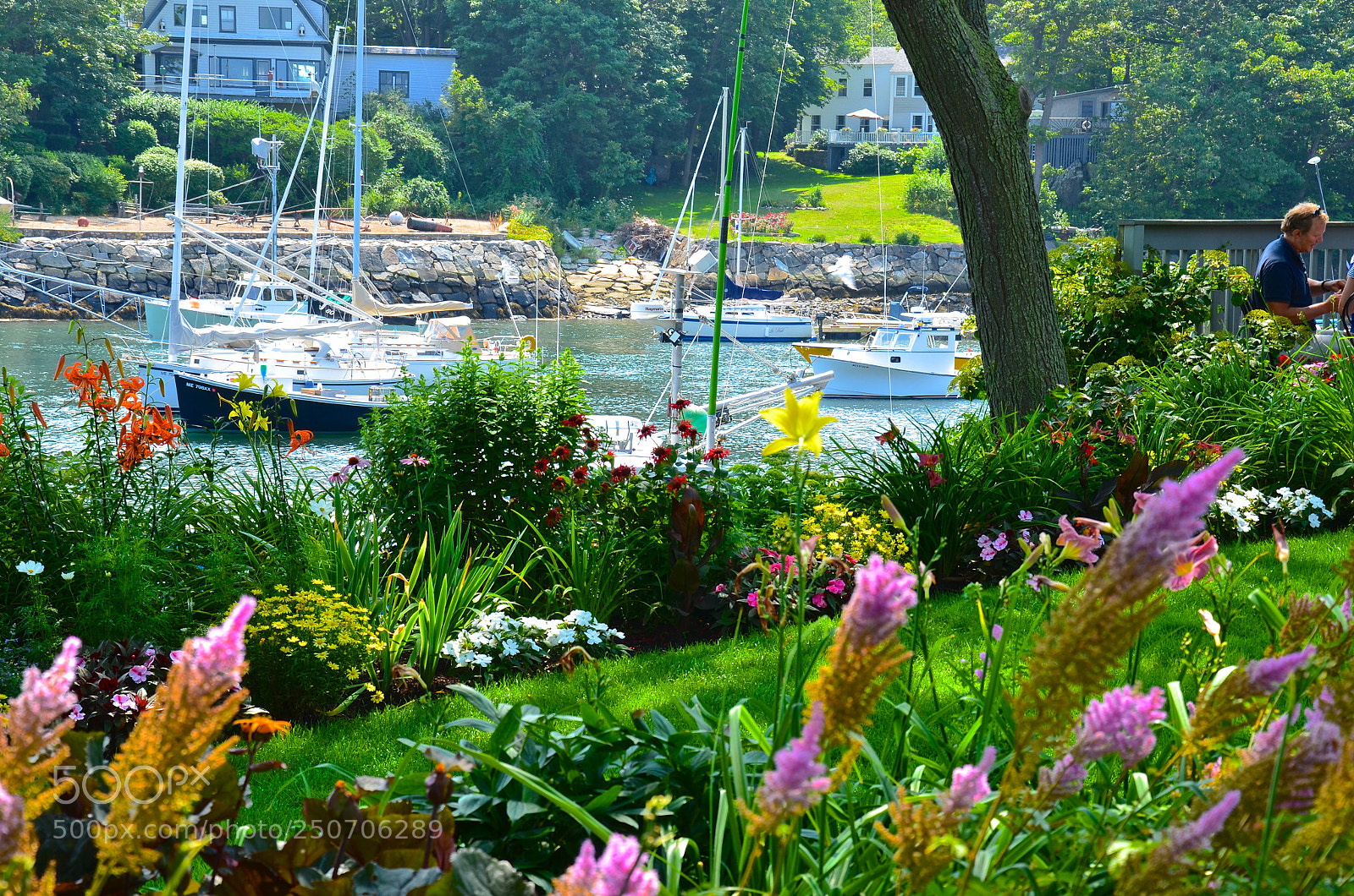 Nikon D7000 sample photo. Seaside garden photography
