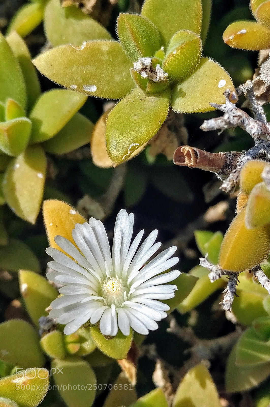 OnePlus A3003 sample photo. Untitled photography