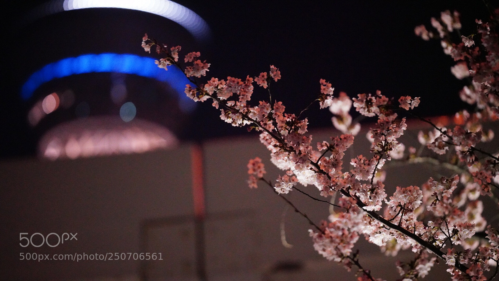 Sony a7R III sample photo. Untitled photography