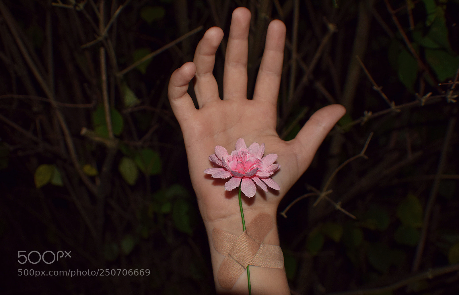 Nikon D3300 sample photo. He's so brave photography