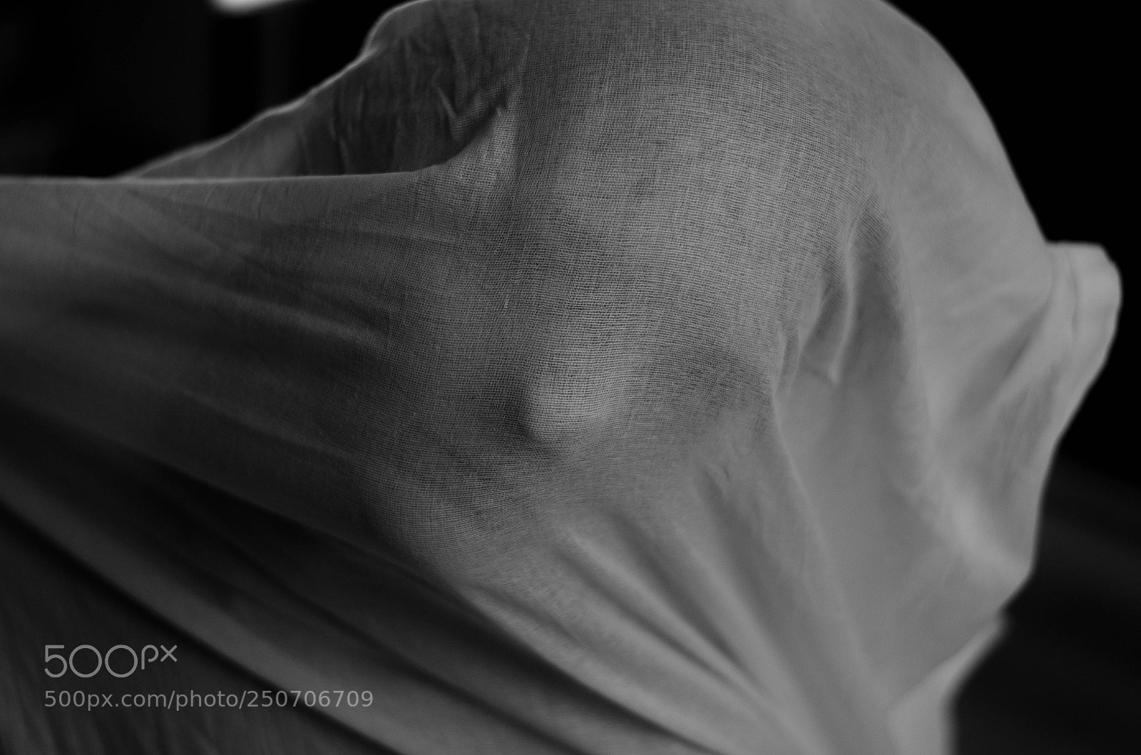 Nikon D5100 sample photo. Help me photography