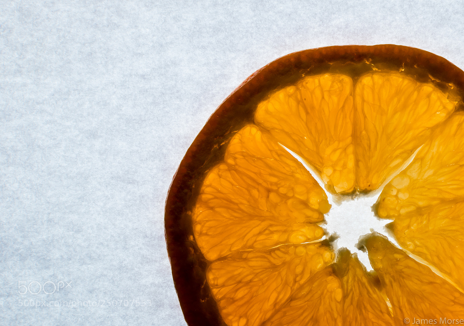 Nikon D3300 sample photo. Orange slice photography