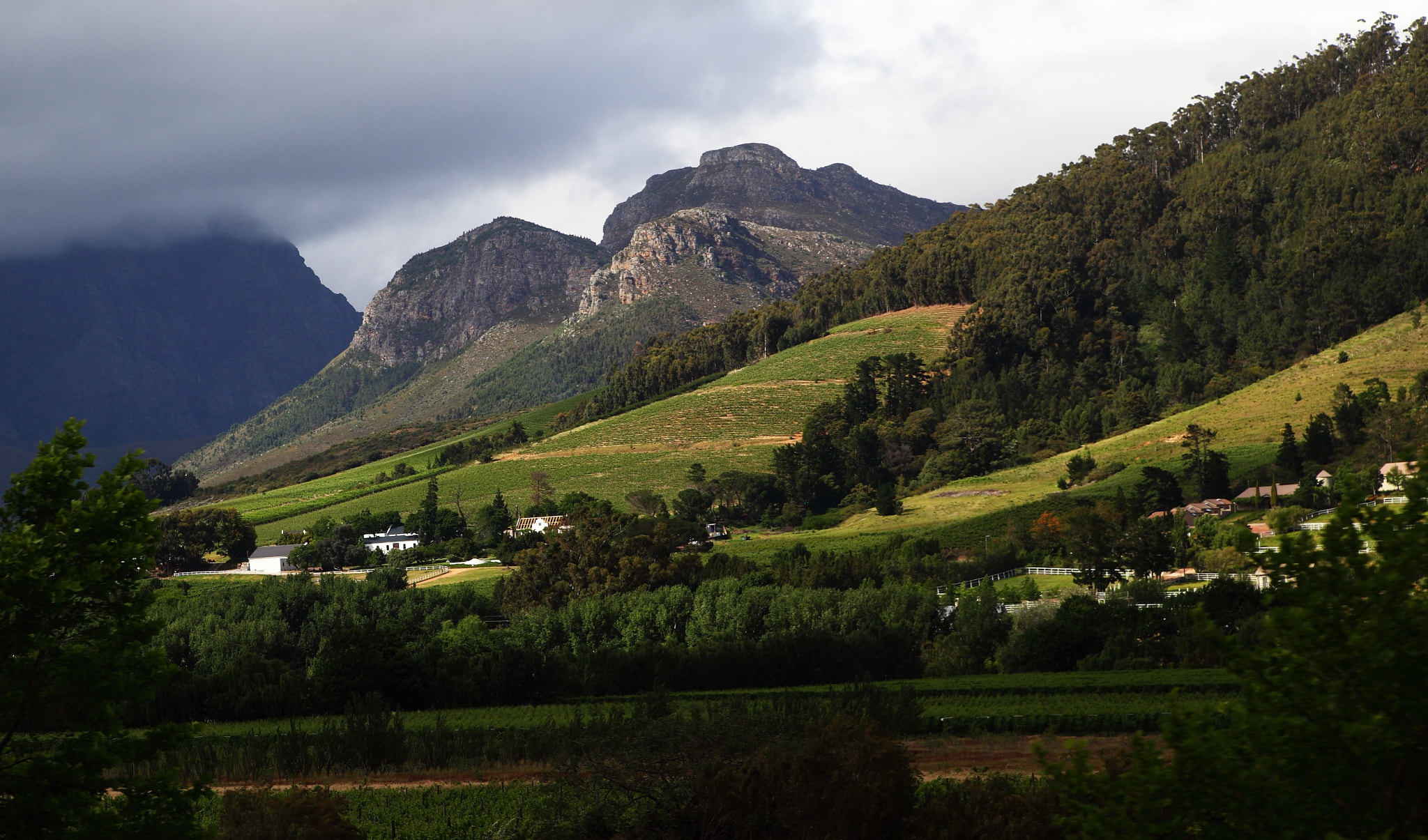 Canon 28-75mm sample photo