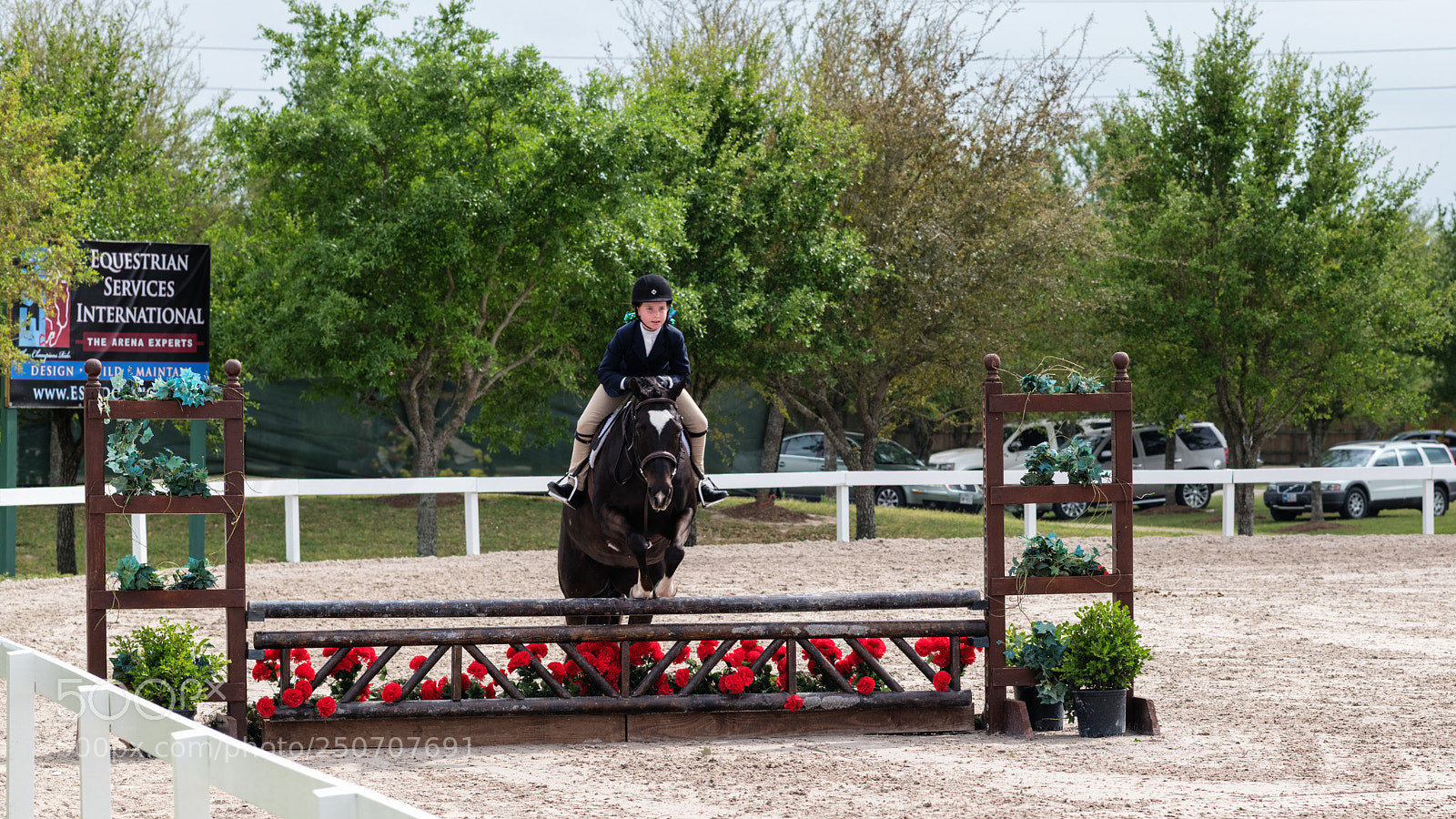 Nikon D850 sample photo. Pin oak charity horse photography