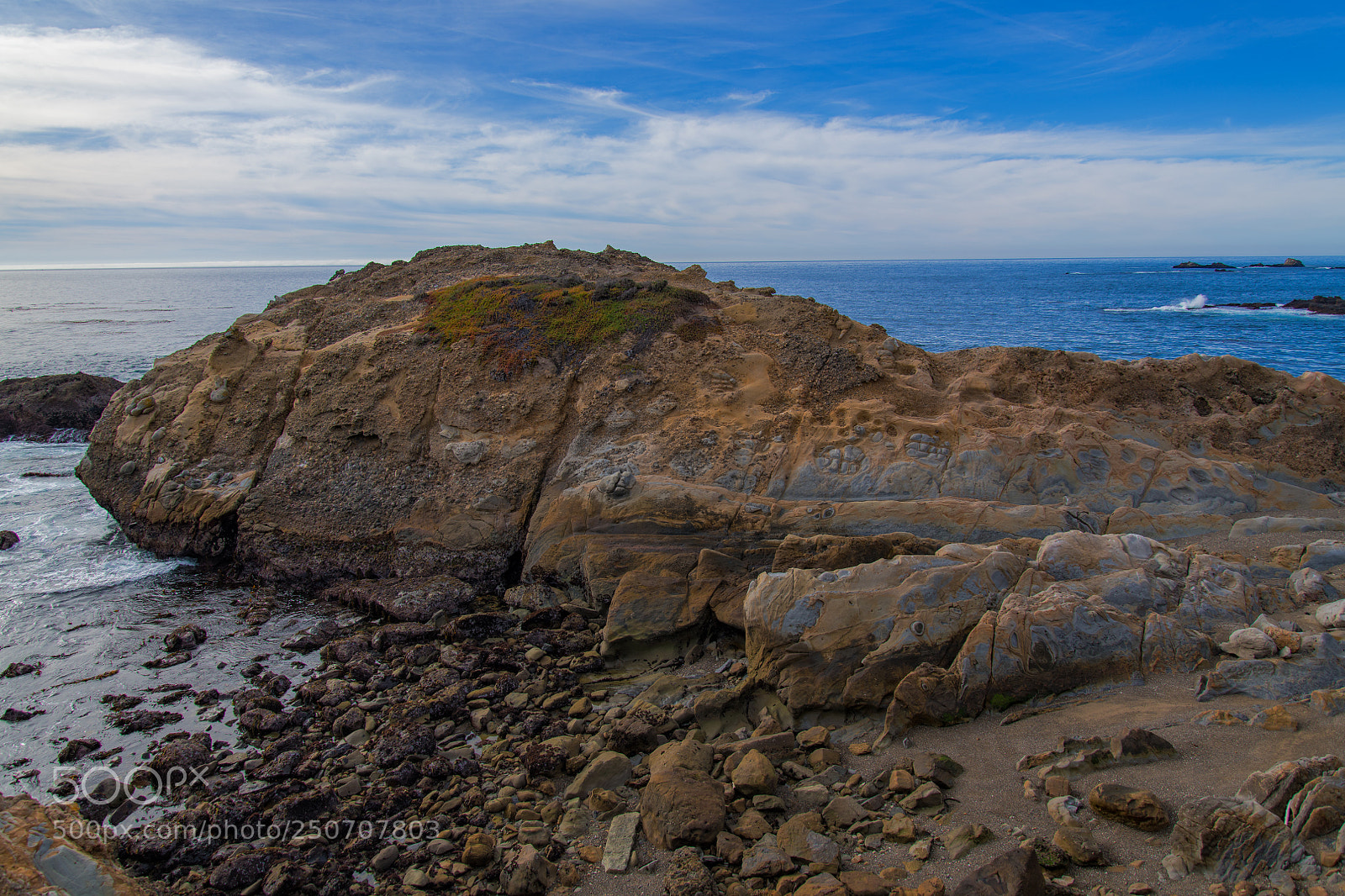 Nikon D850 sample photo. Point lobos photography