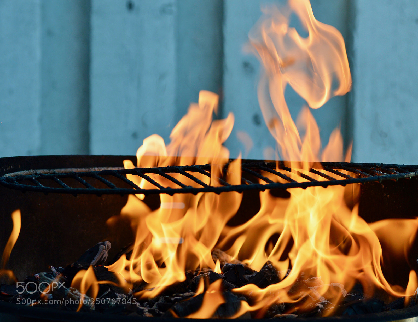 Nikon D3200 sample photo. Summer feeling photography