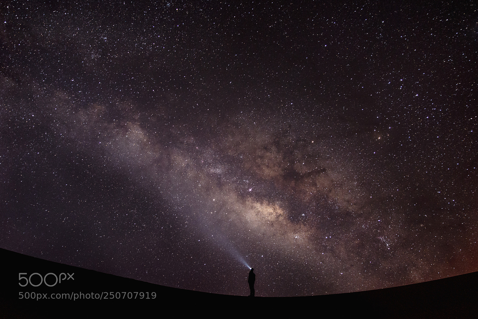 Nikon D610 sample photo. Milky photography