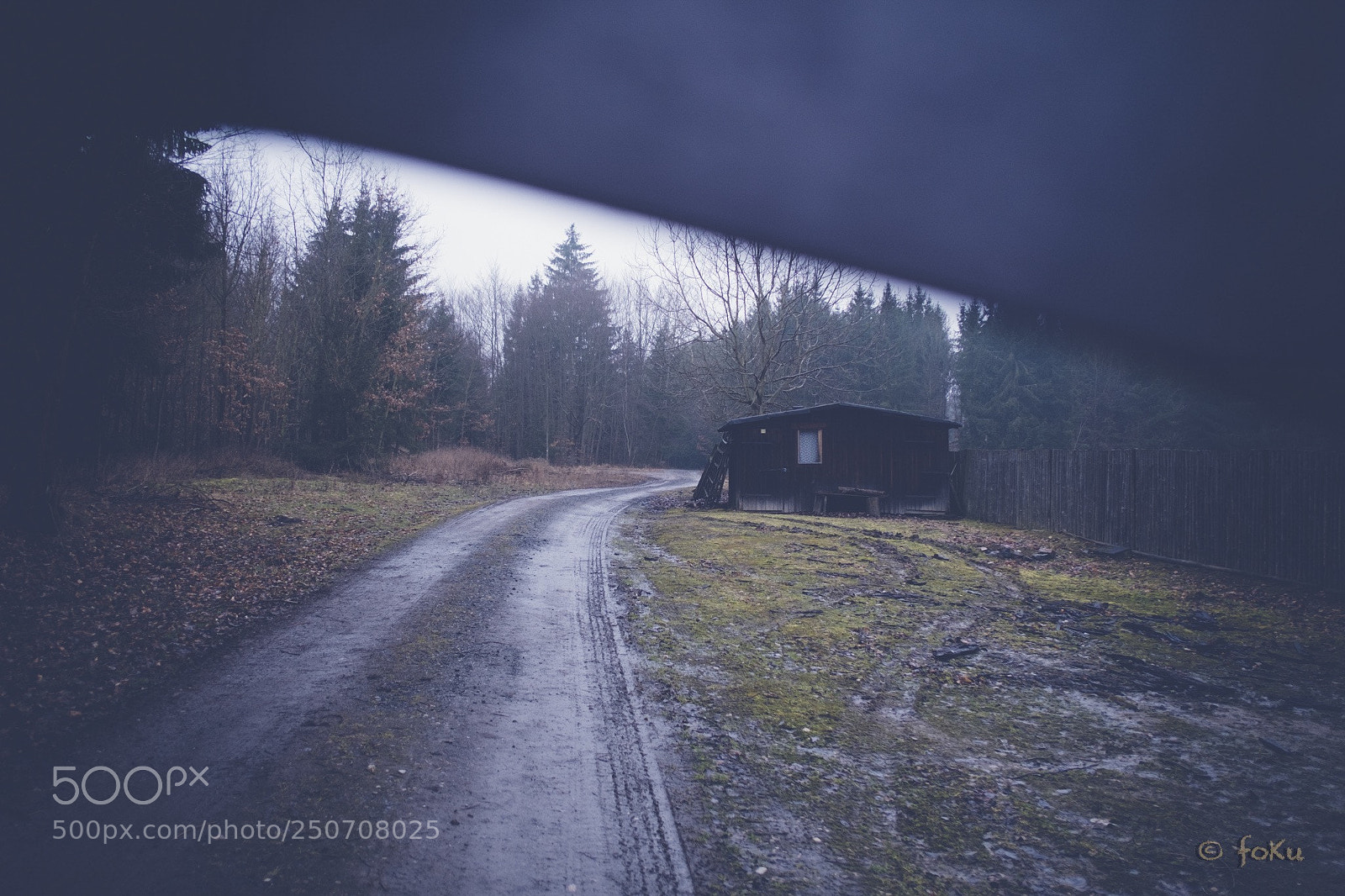 Fujifilm X-Pro1 sample photo. The cabin in the photography