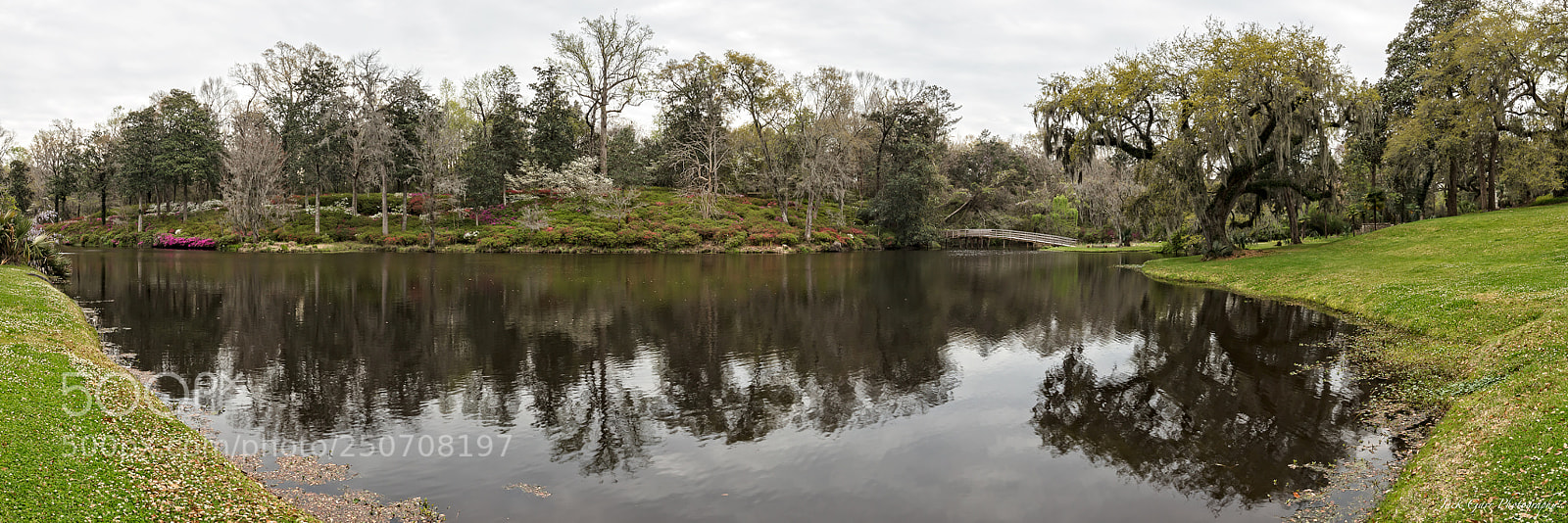 Canon EOS 5DS sample photo. Middleton place garden panorama photography