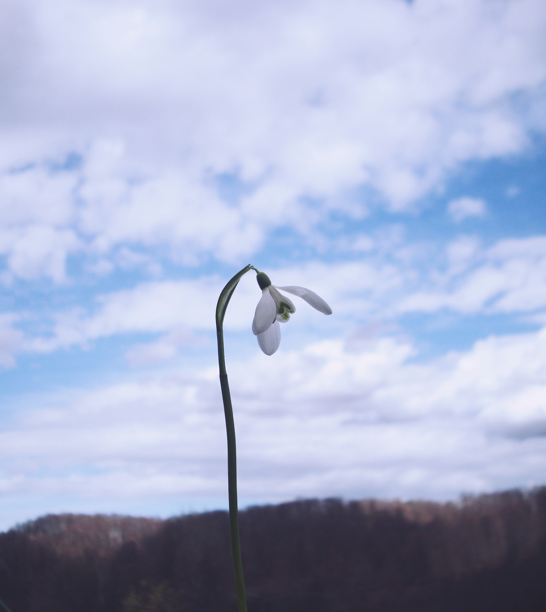 Benq DC C1060 sample photo. . photography