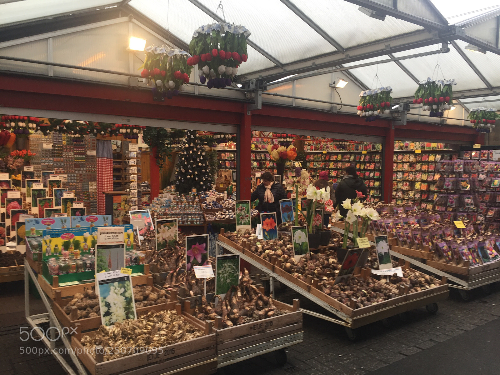 Apple iPhone 6 sample photo. Flower market ??? photography
