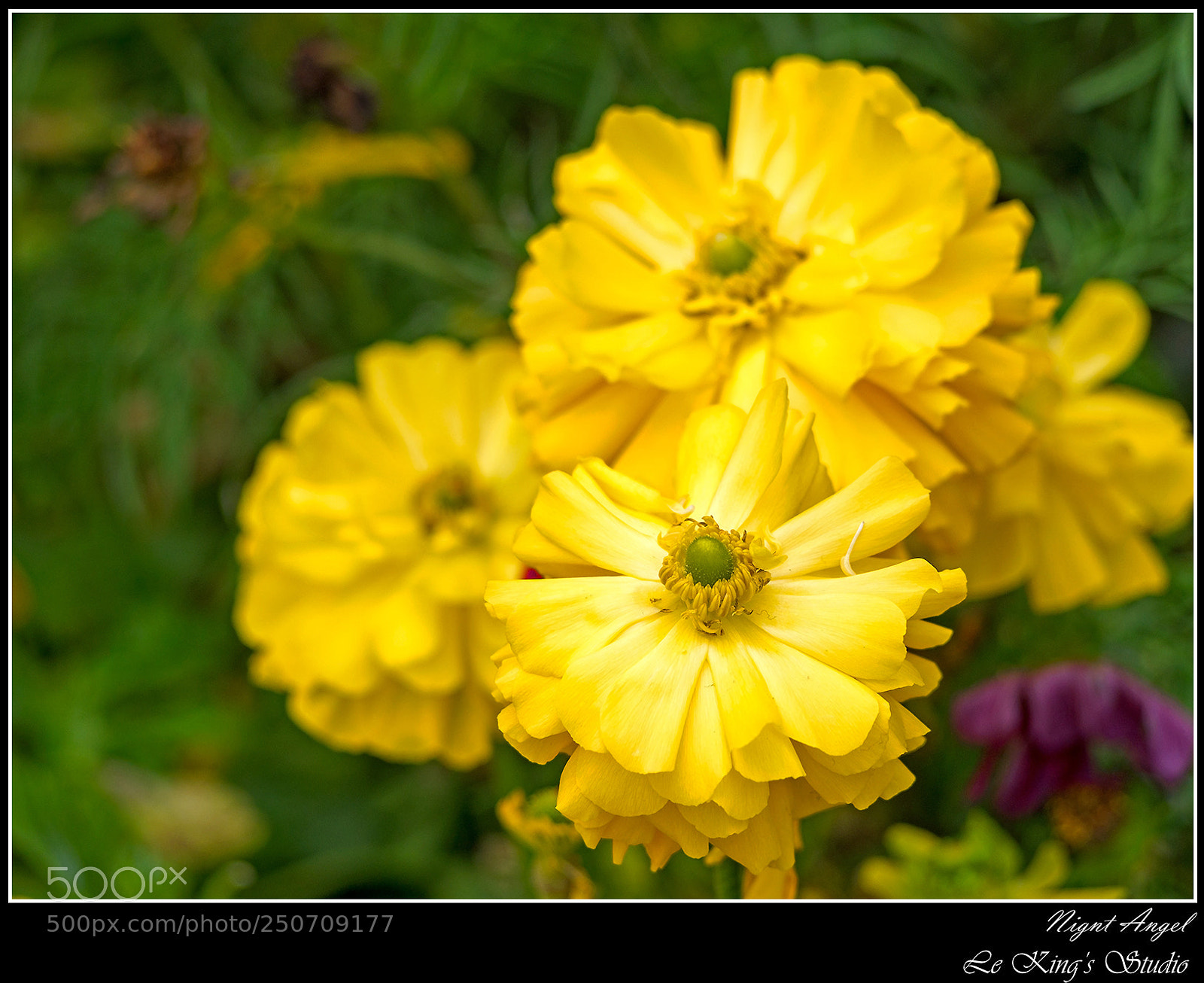 Olympus PEN E-PL6 sample photo. 點 • point photography