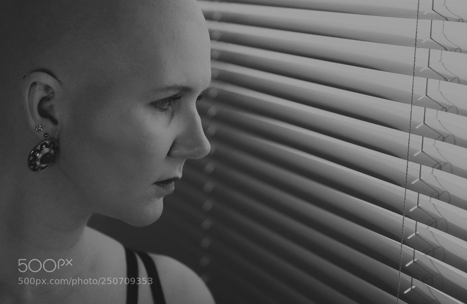 Nikon D800 sample photo. Lola sw photography