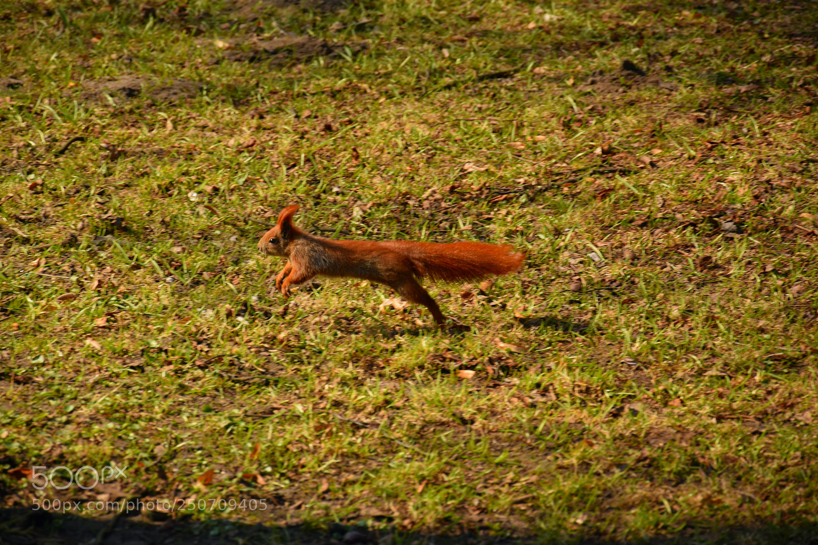 Nikon D5300 sample photo. Dsc photography