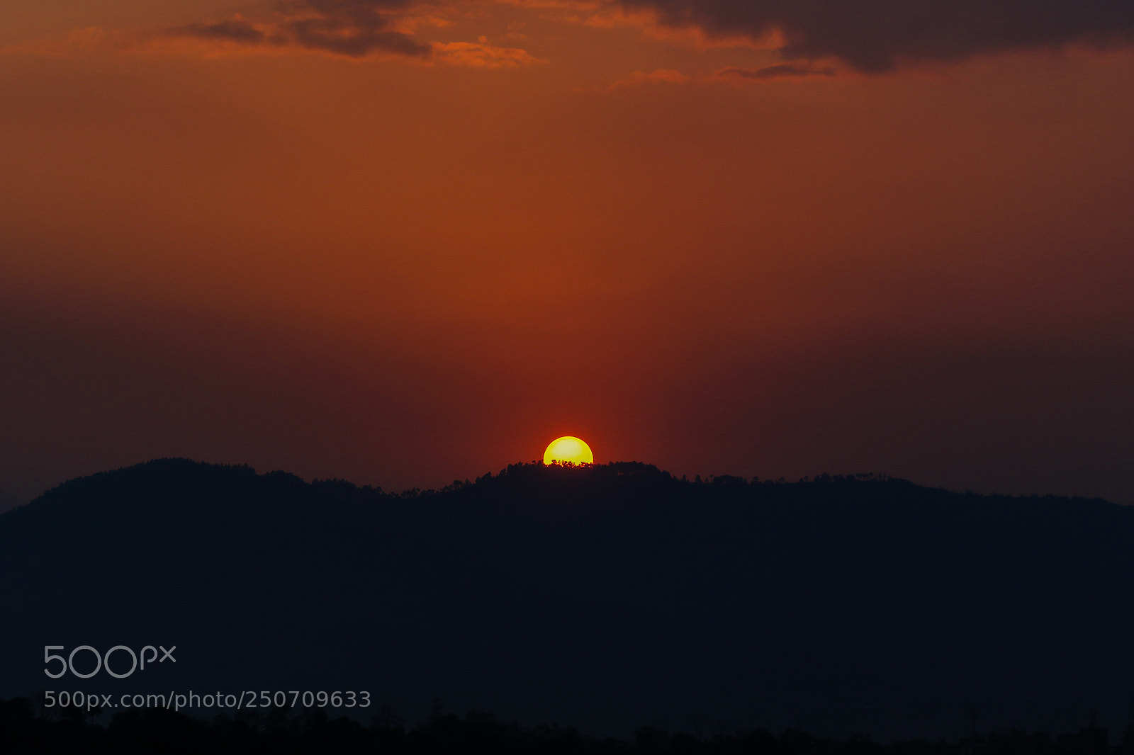 Canon EOS 7D Mark II sample photo. Untitled photography