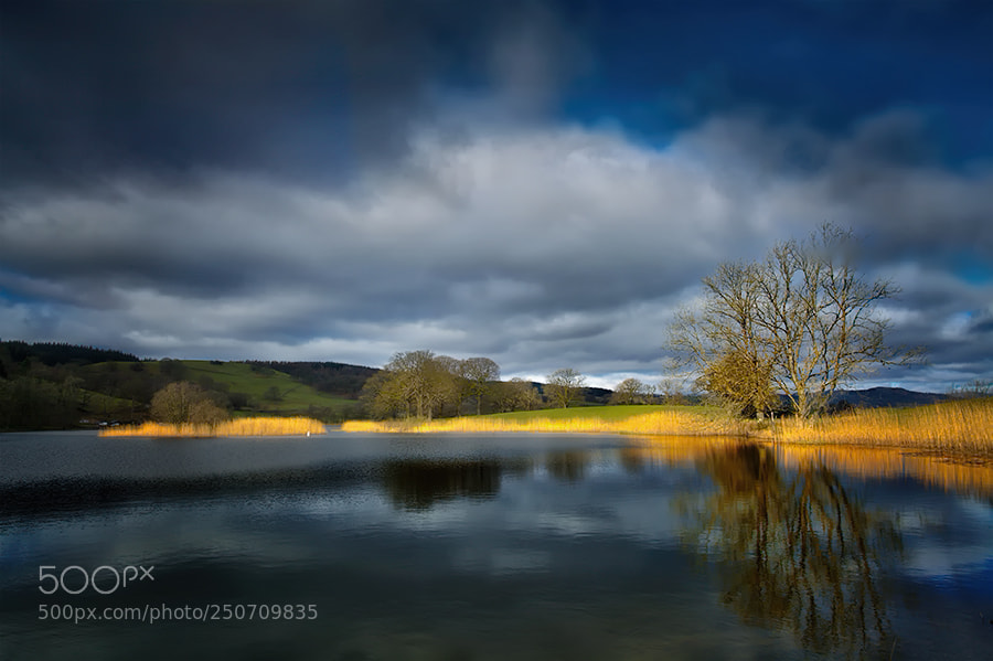 Canon EOS 5D Mark II sample photo. Reflections photography