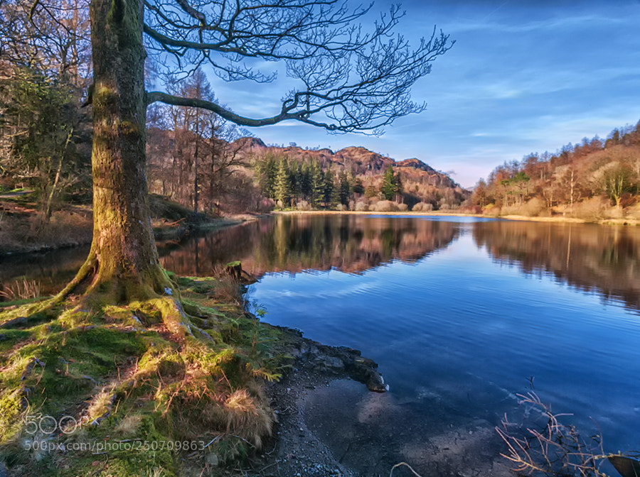 Canon EOS 5D Mark II sample photo. Tarn photography