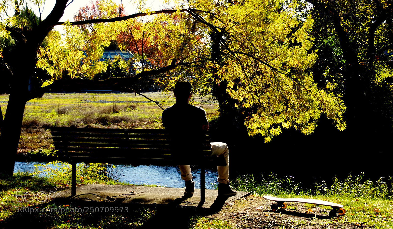 Sony SLT-A77 sample photo. Resting photography