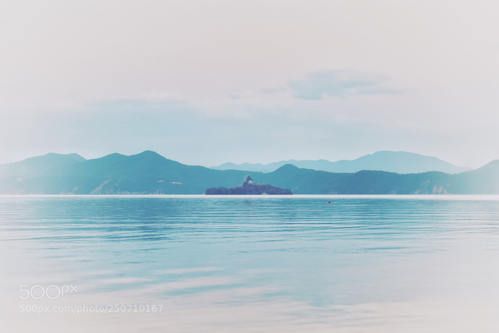 Nikon D810 sample photo. Untitled photography