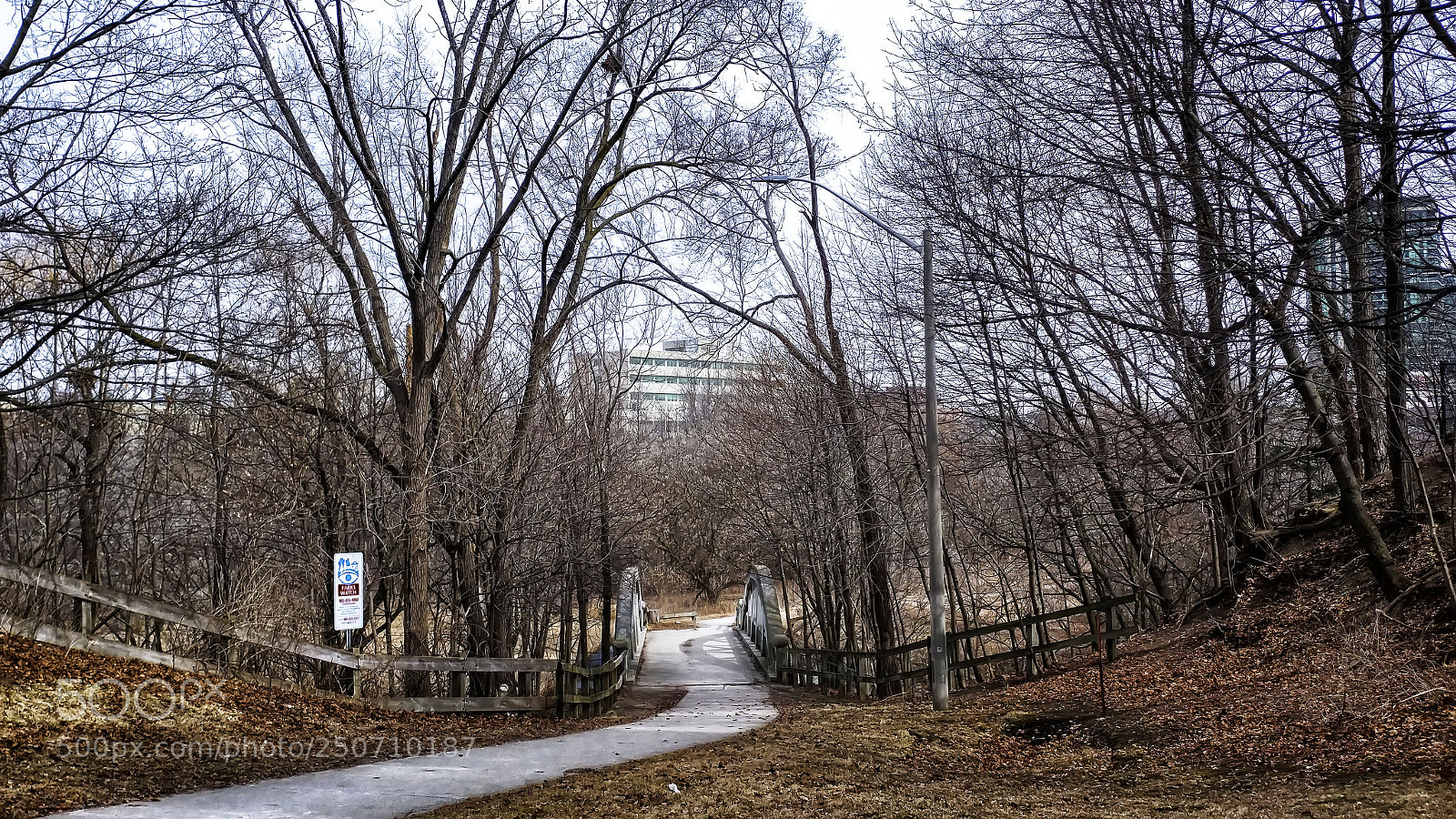 LG G5 sample photo. Bridged photography