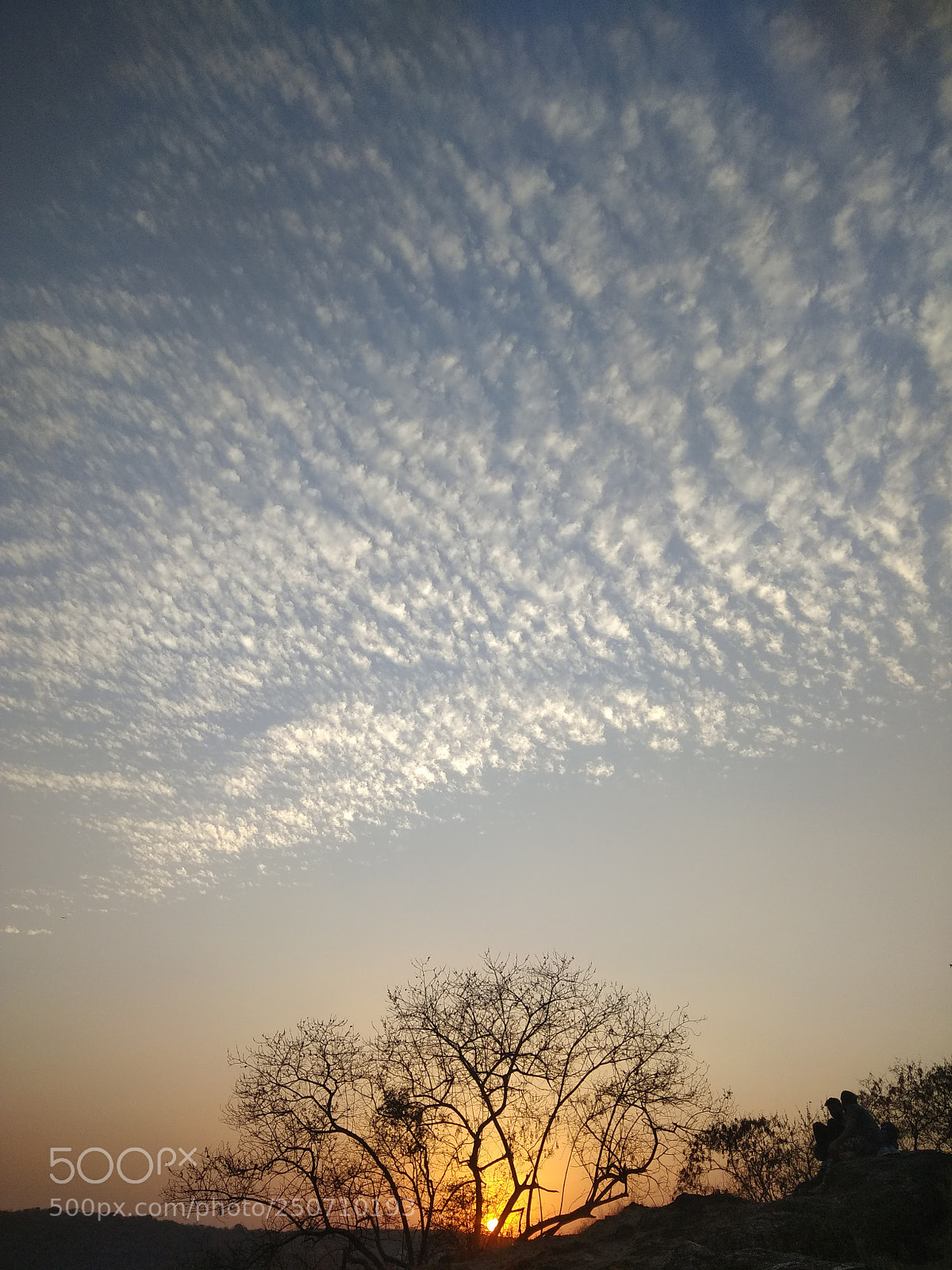 Xiaomi Redmi Note 4 sample photo. Untitled photography