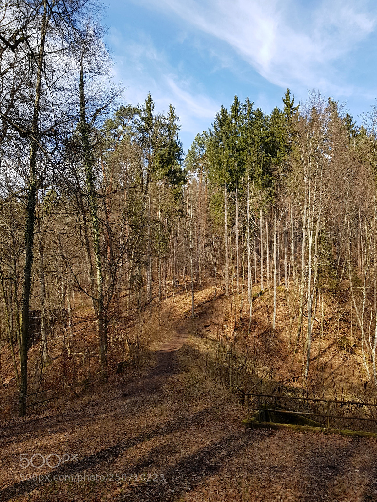 Samsung Galaxy S8 sample photo. Untitled photography