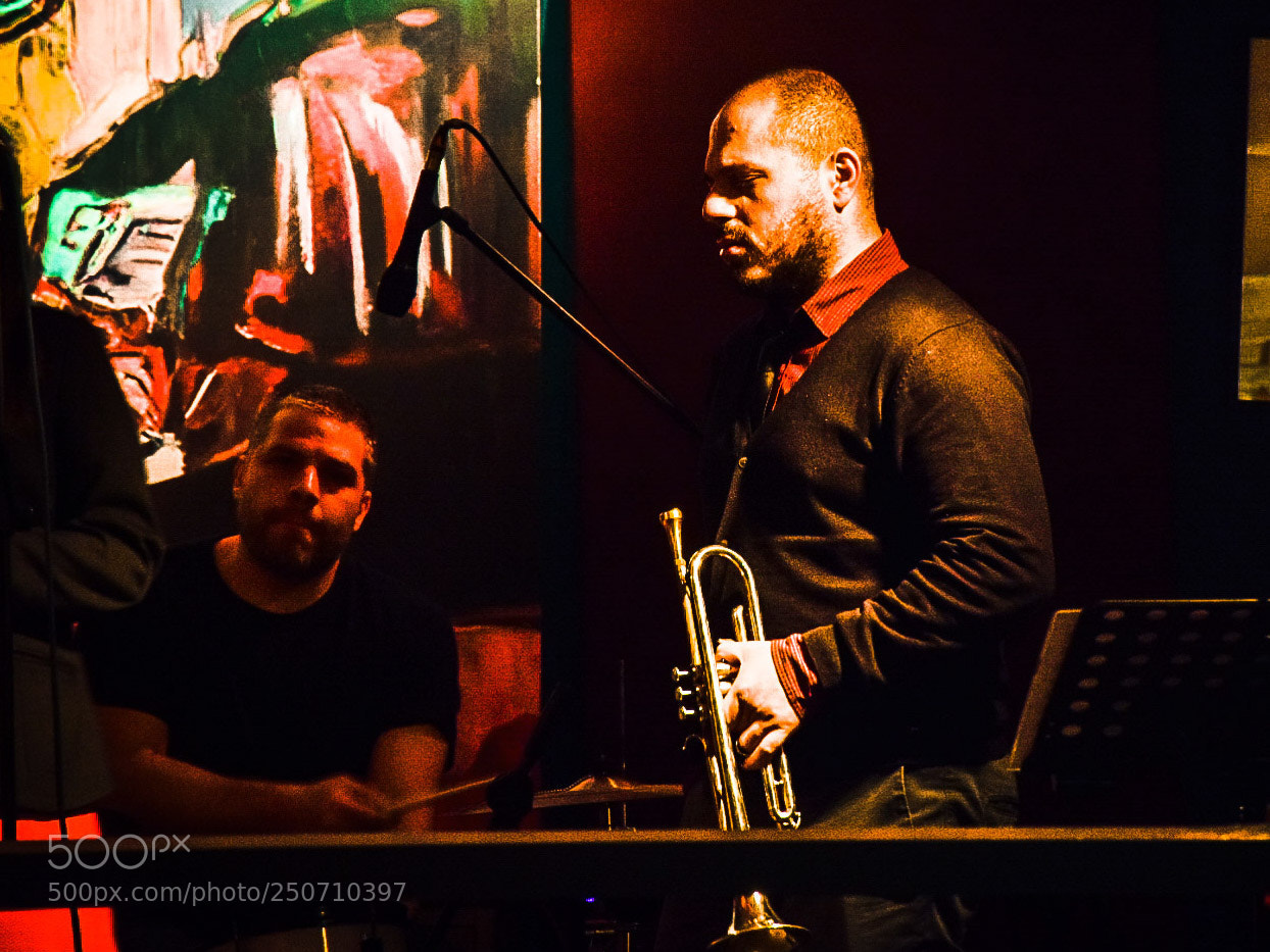 Nikon D3300 sample photo. The trombet player photography