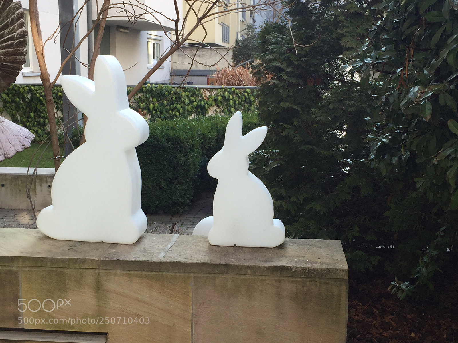 Apple iPhone 6 sample photo. Easter rabbits photography
