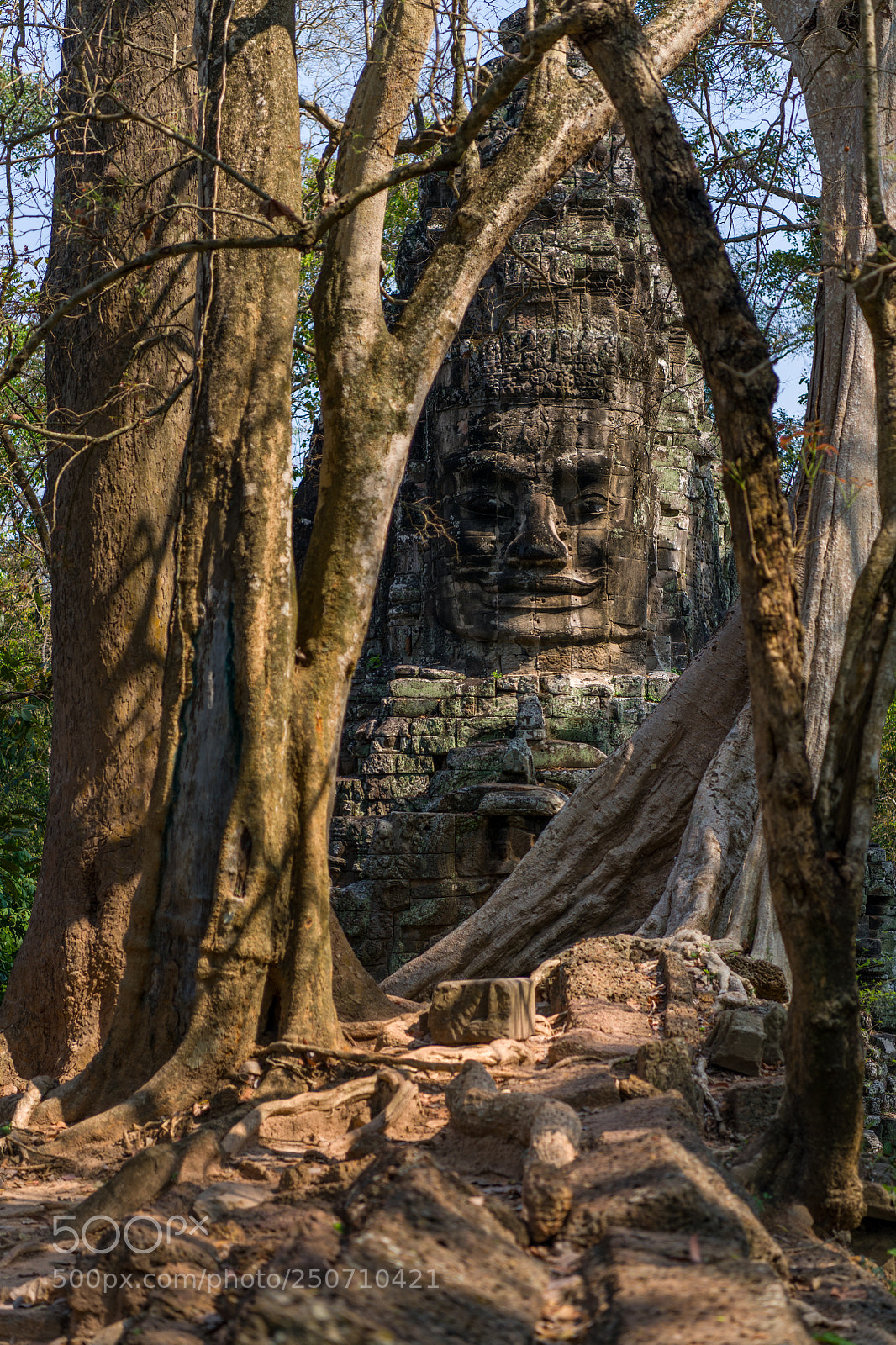 Nikon D850 sample photo. Victory bridge angkor photography