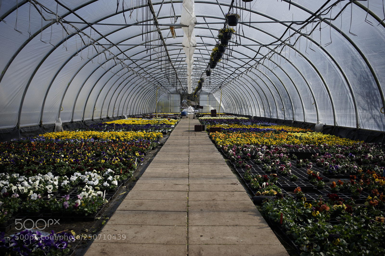 Sony a7 sample photo. Weekend photography