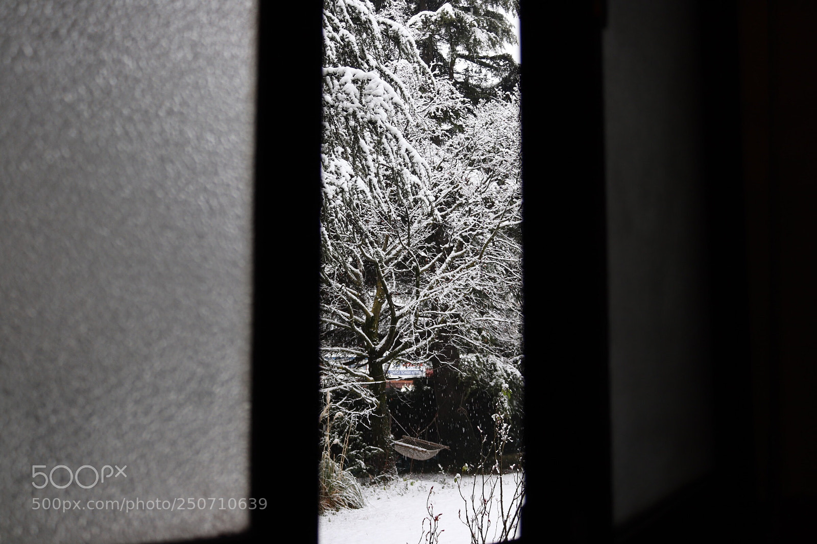 Canon EOS 200D (EOS Rebel SL2 / EOS Kiss X9) sample photo. Snow outside photography