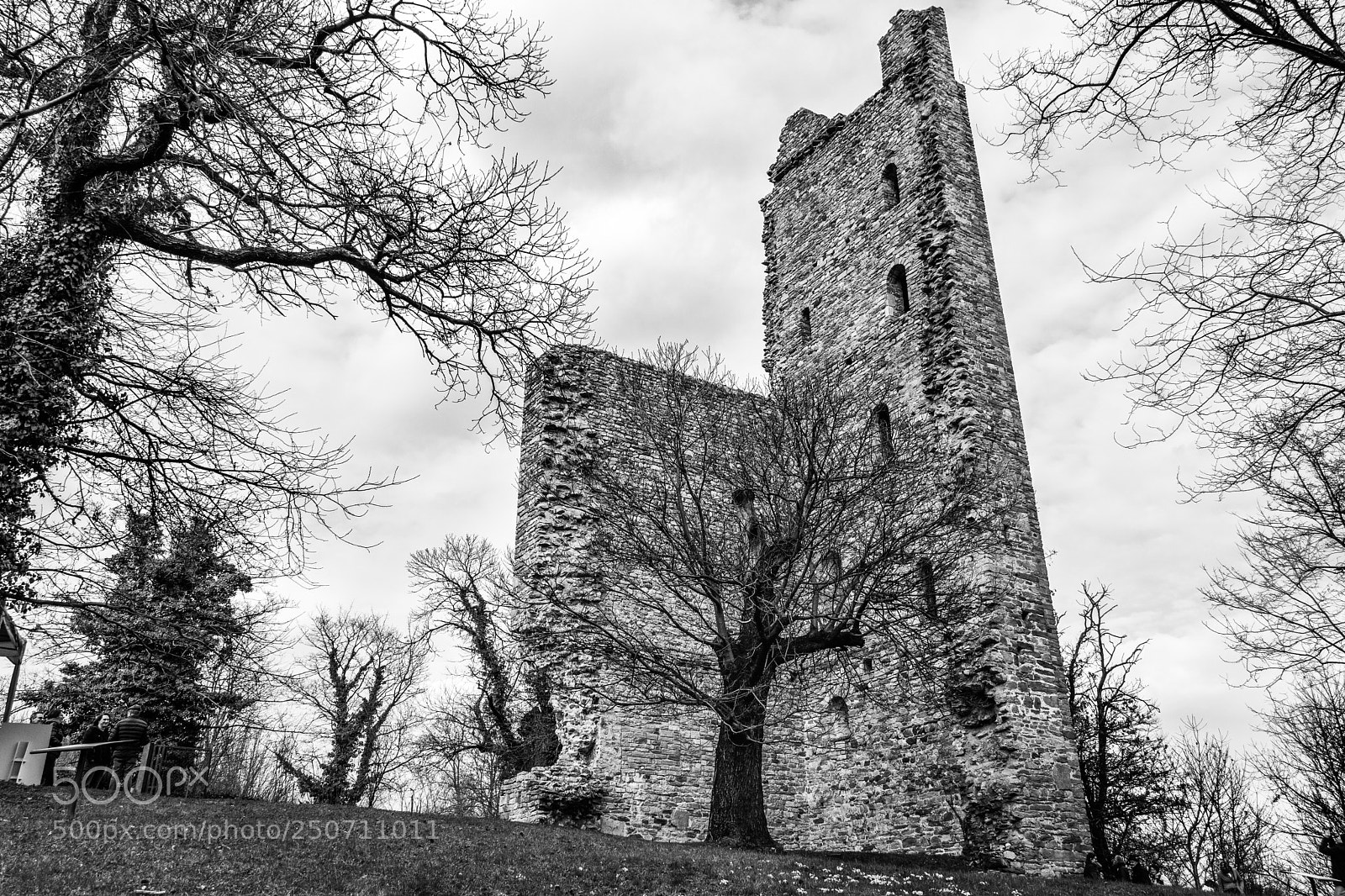 Canon EOS 750D (EOS Rebel T6i / EOS Kiss X8i) sample photo. Torre di velate photography