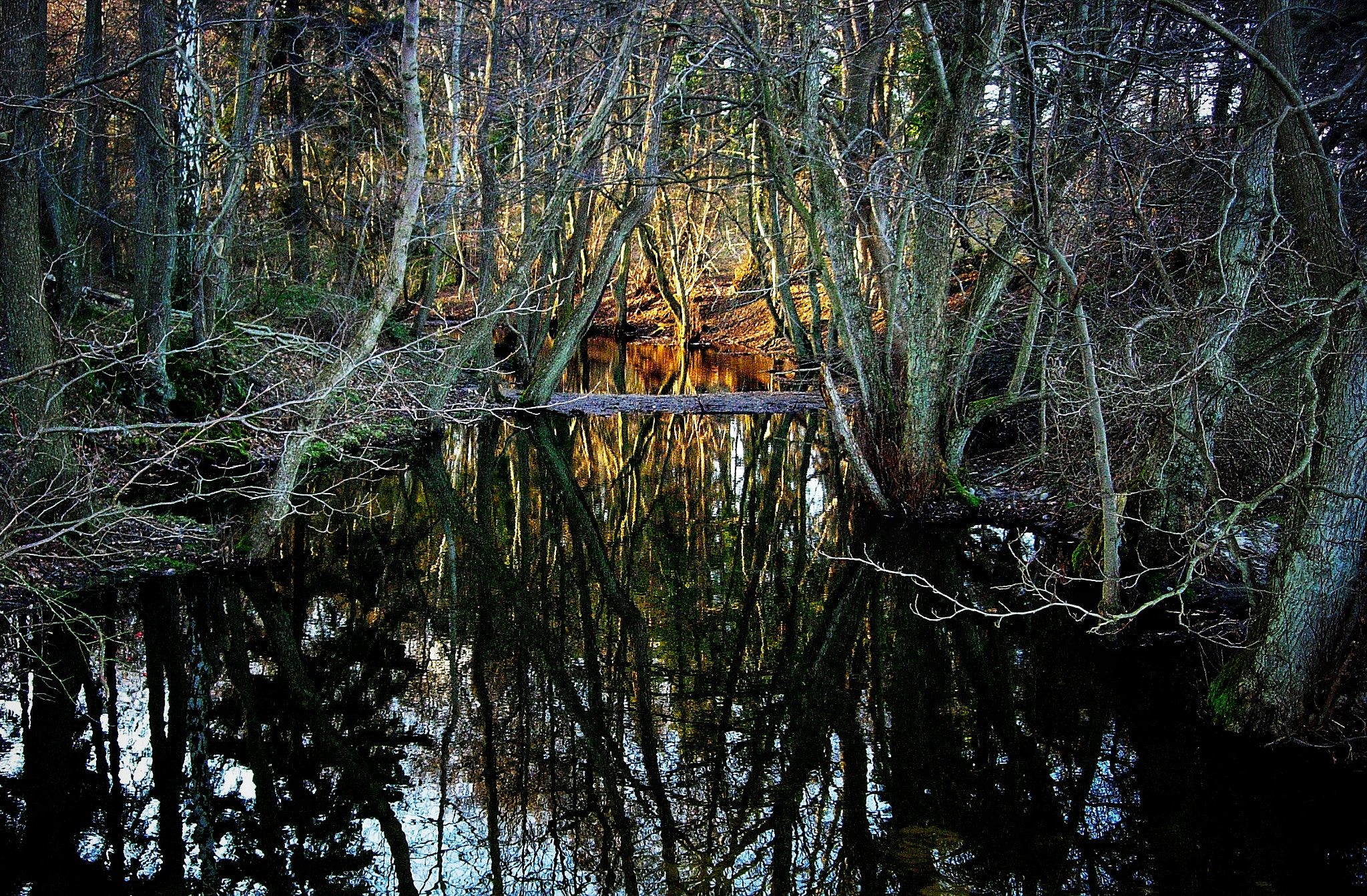 Nikon E5200 sample photo. Haväng sweden photography