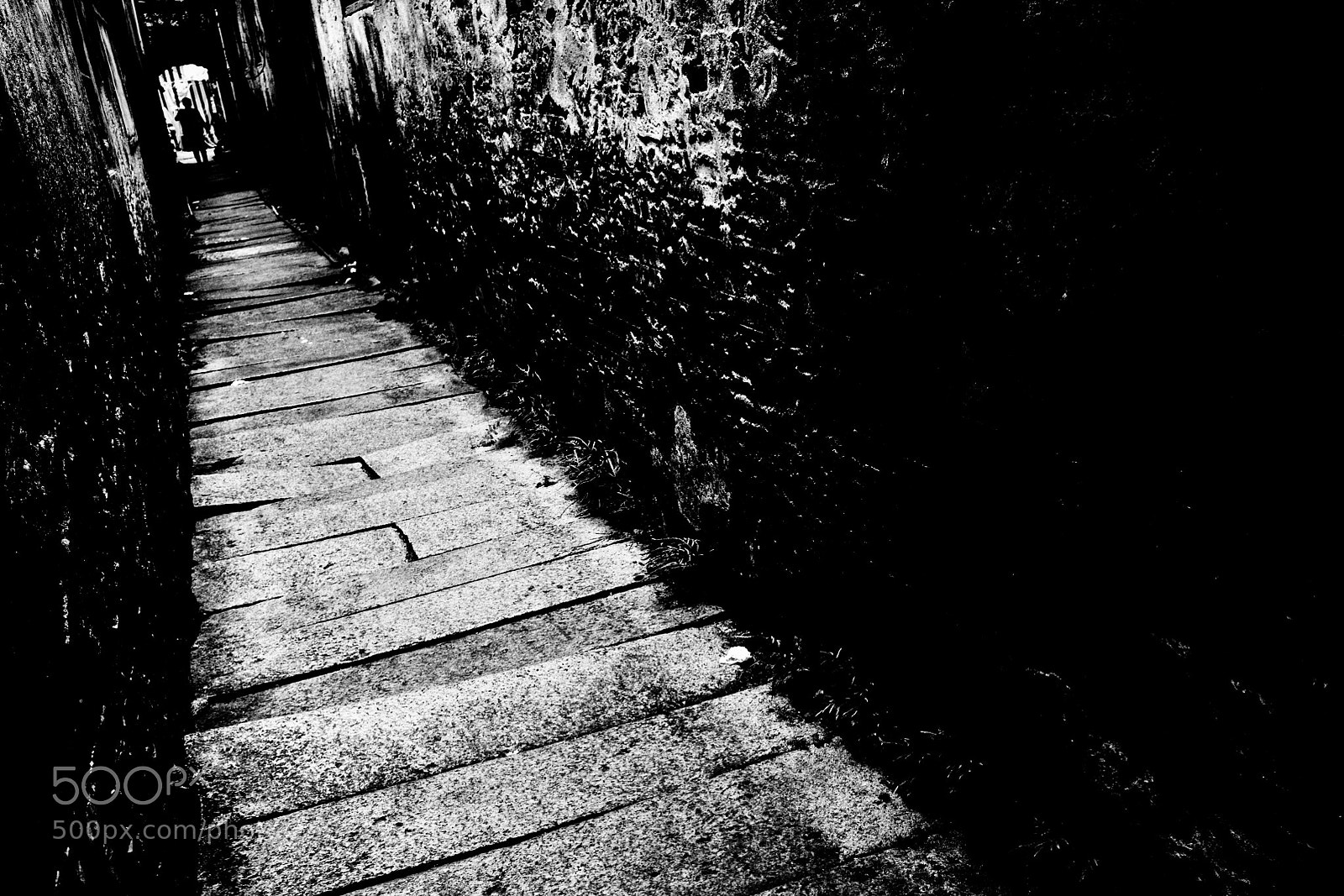 Ricoh GR II sample photo. Untitled photography