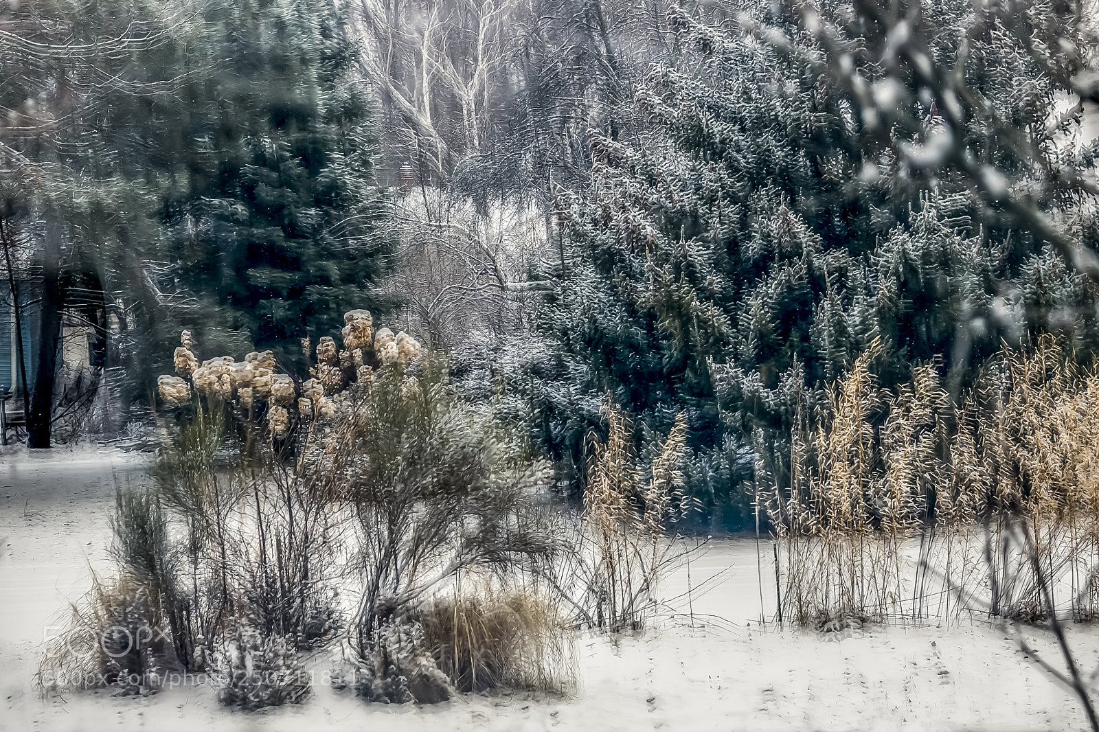 Leica SL (Typ 601) sample photo. Snow colors photography