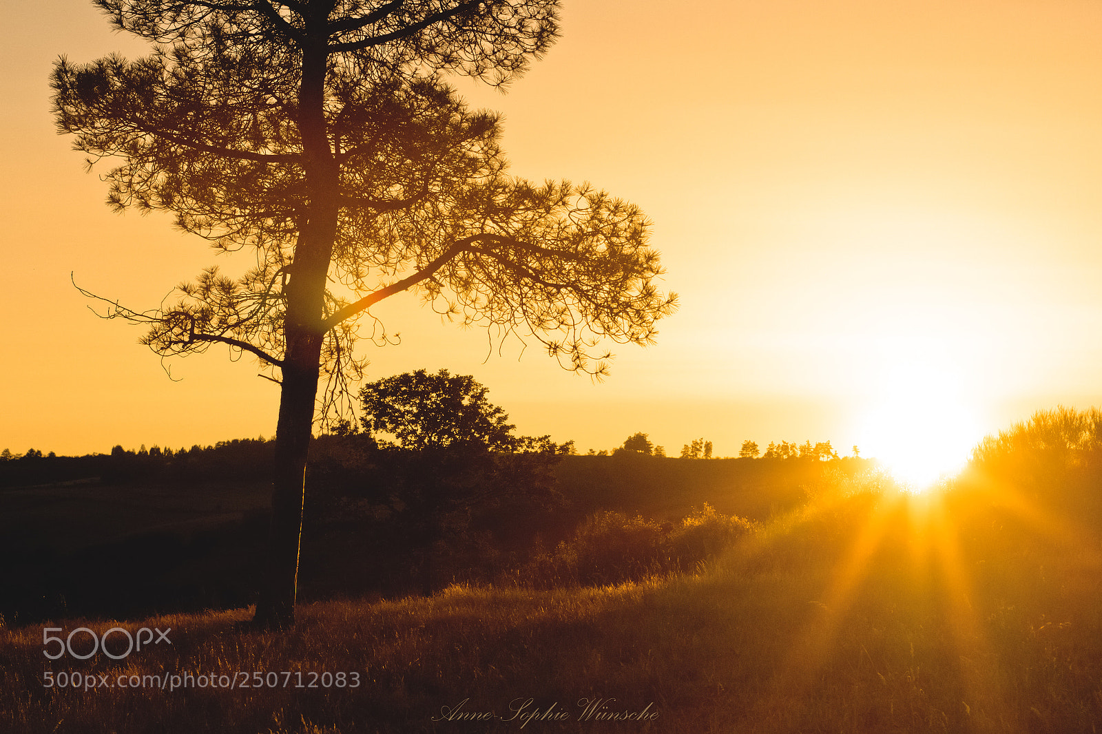 Canon EOS 700D (EOS Rebel T5i / EOS Kiss X7i) sample photo. O posta do sol photography