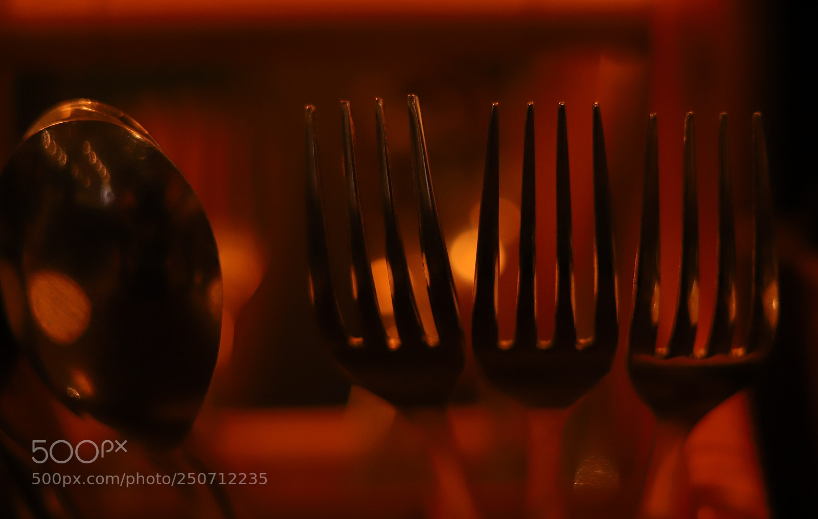 Canon EOS 6D Mark II sample photo. Untitled photography