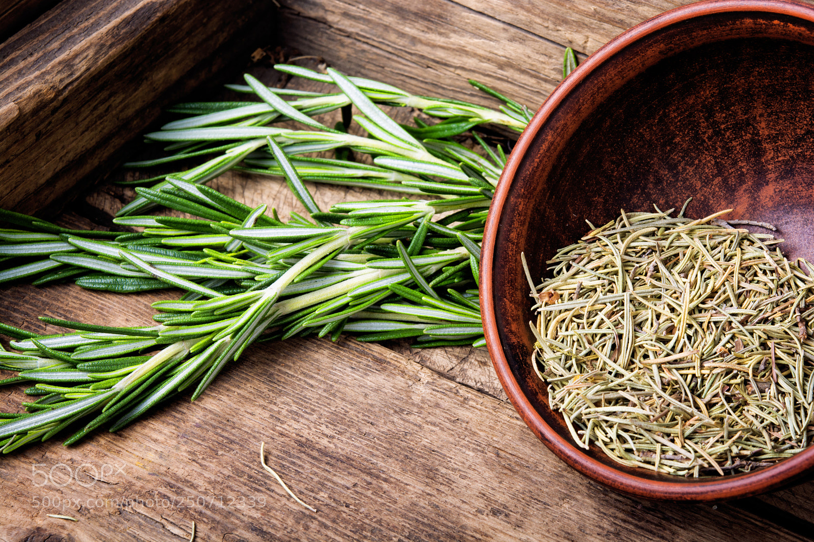 Nikon D7100 sample photo. Fresh rosemary bunch photography