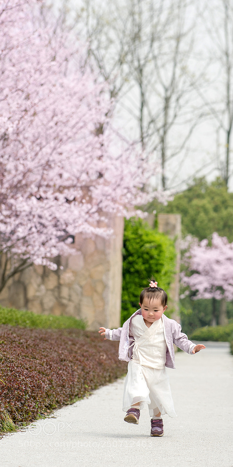 Nikon D810 sample photo. 樱花与女娃 photography