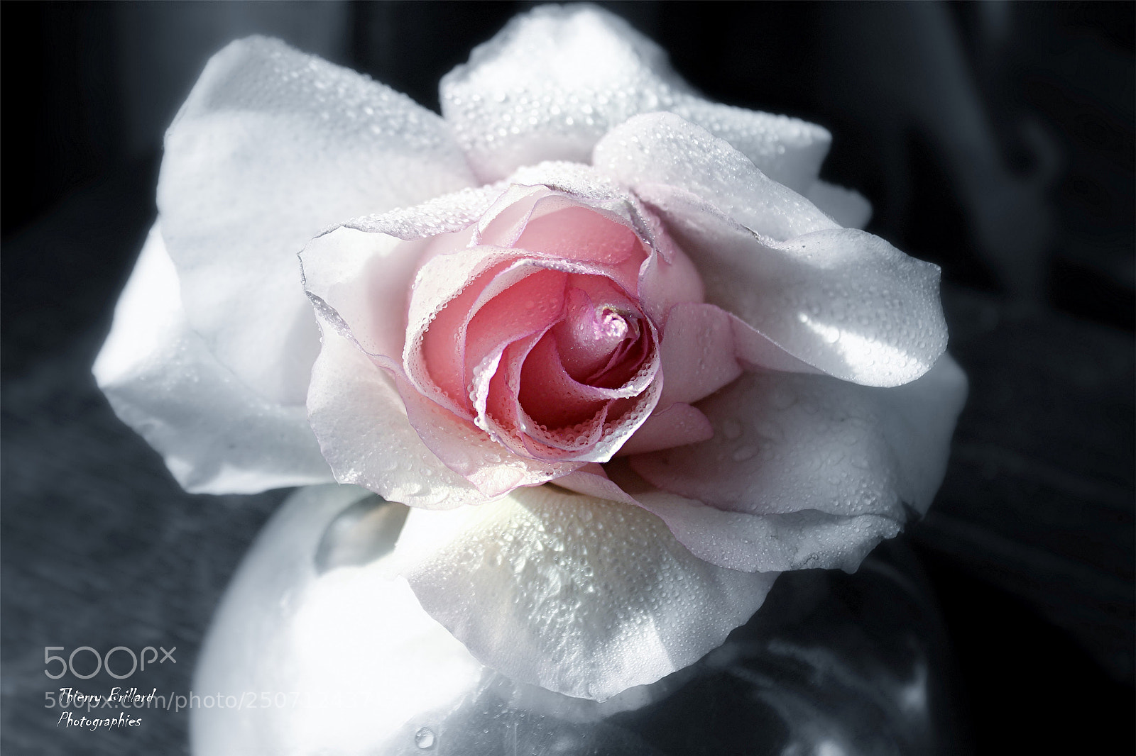 Canon EOS 600D (Rebel EOS T3i / EOS Kiss X5) sample photo. V tue comme une photography