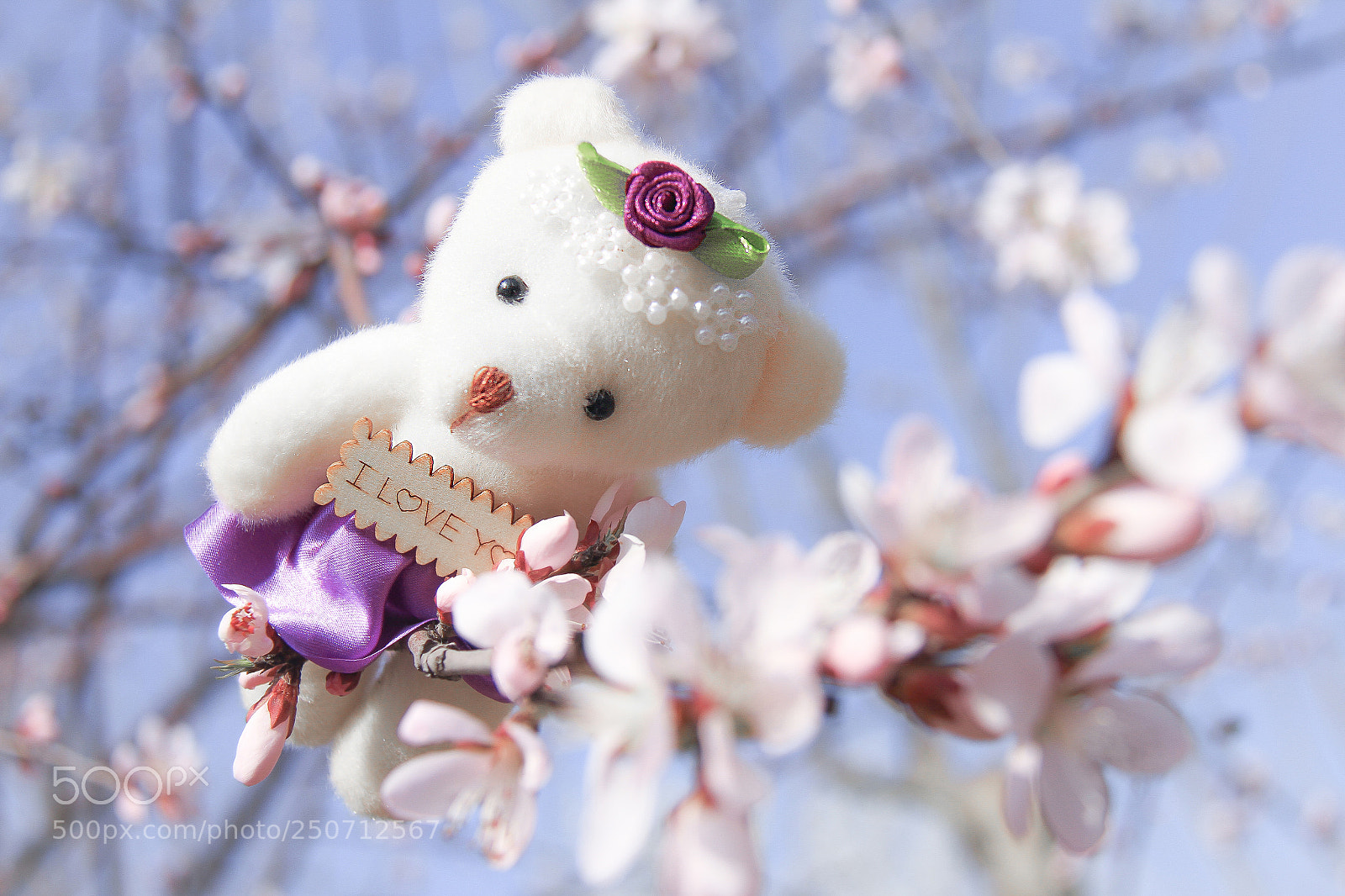 Canon EOS 7D sample photo. 春意 photography