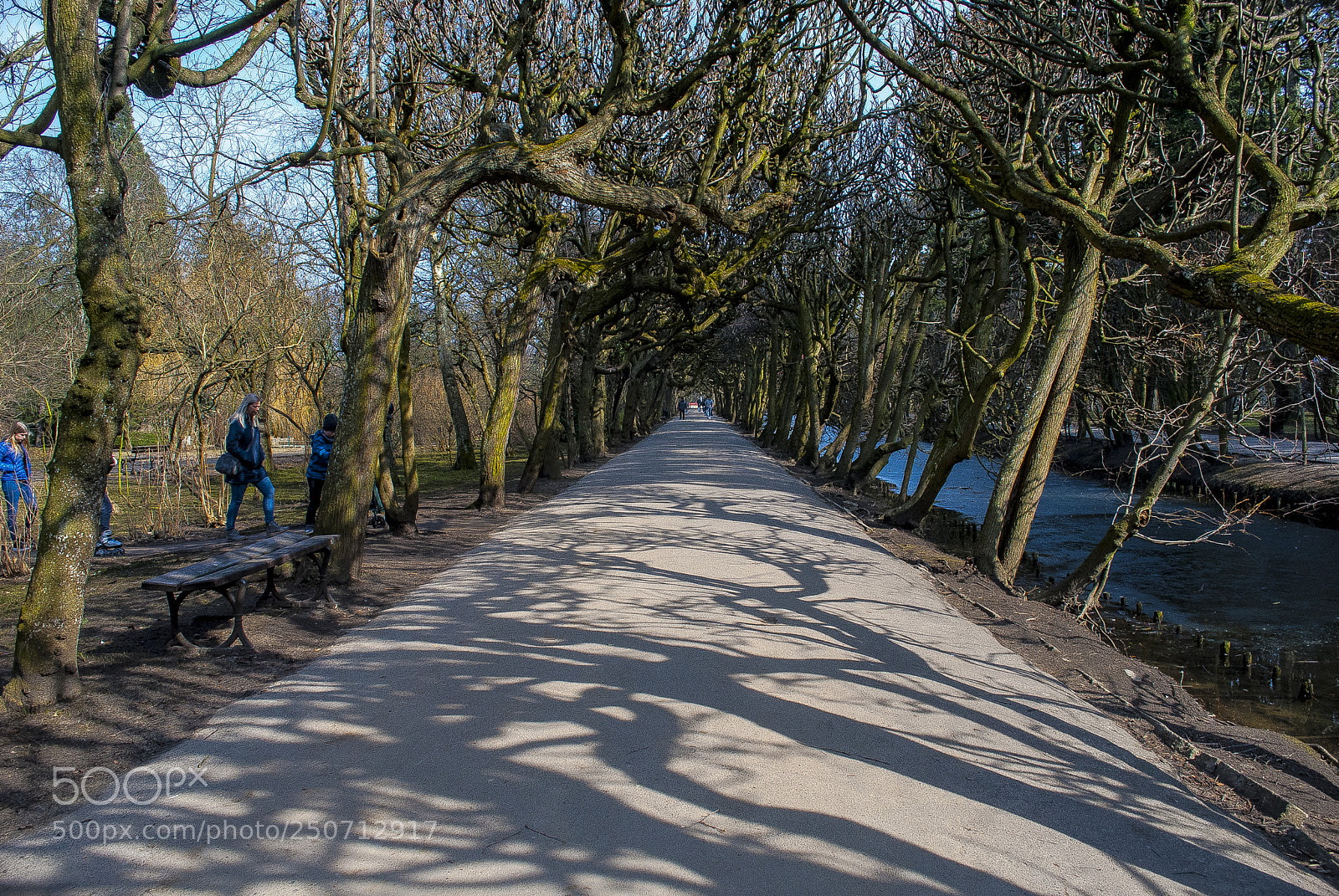 Nikon D3000 sample photo. Footpath photography