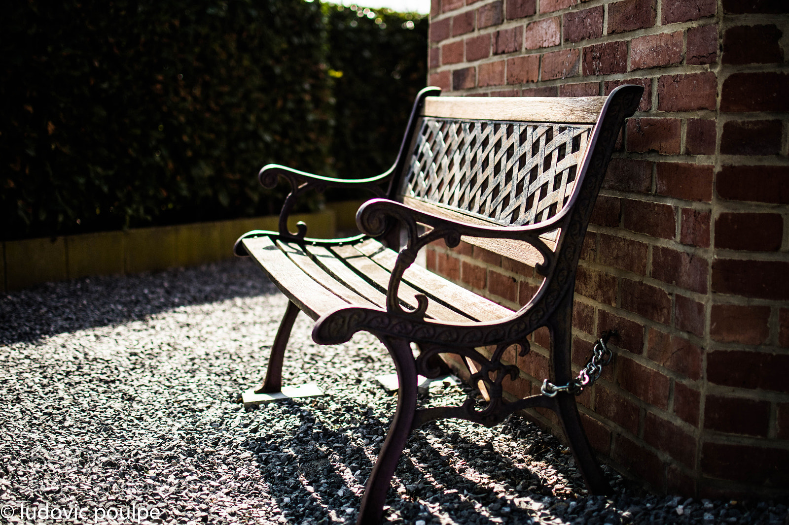 Nikon D7500 sample photo. Dsc photography