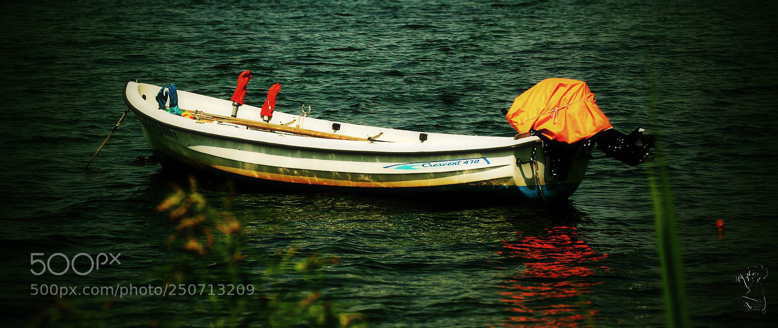 Canon EOS 650D (EOS Rebel T4i / EOS Kiss X6i) sample photo. Summerdreaming photography