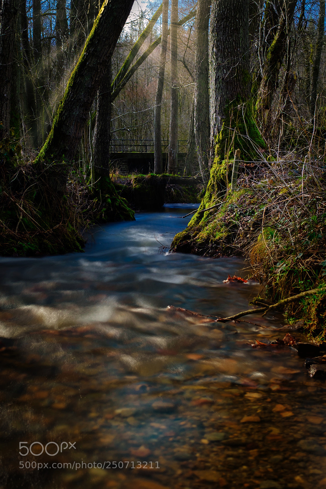 Fujifilm X100F sample photo. The bridge photography