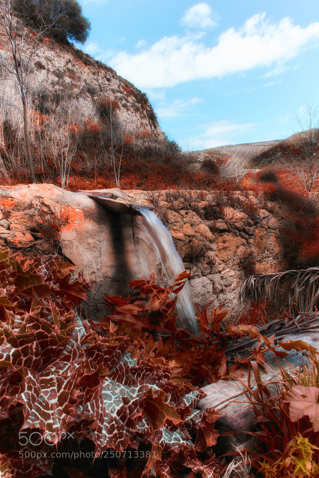 Canon EOS 60D sample photo. Untitled photography