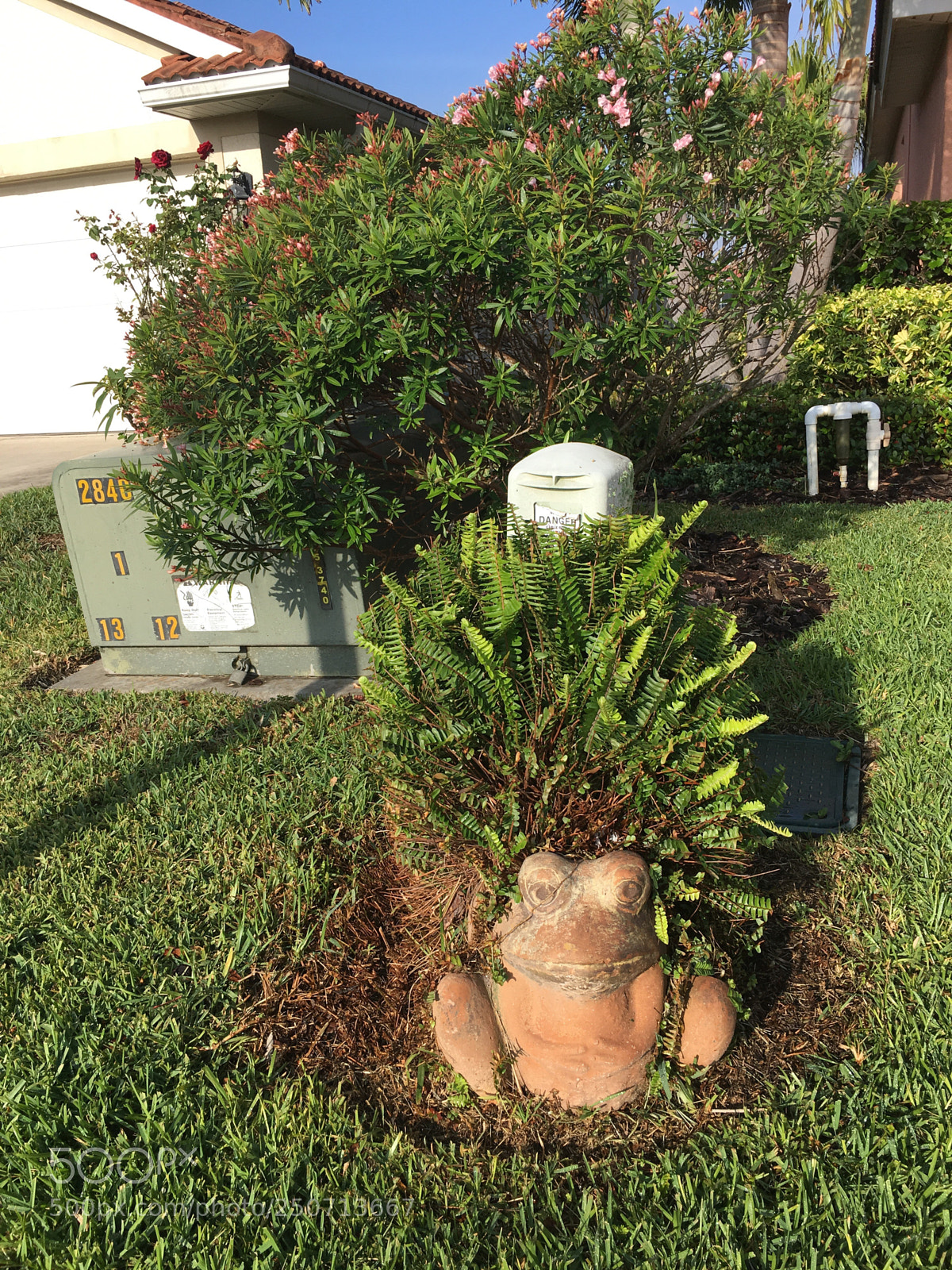 Apple iPhone 6s sample photo. Untitled photography