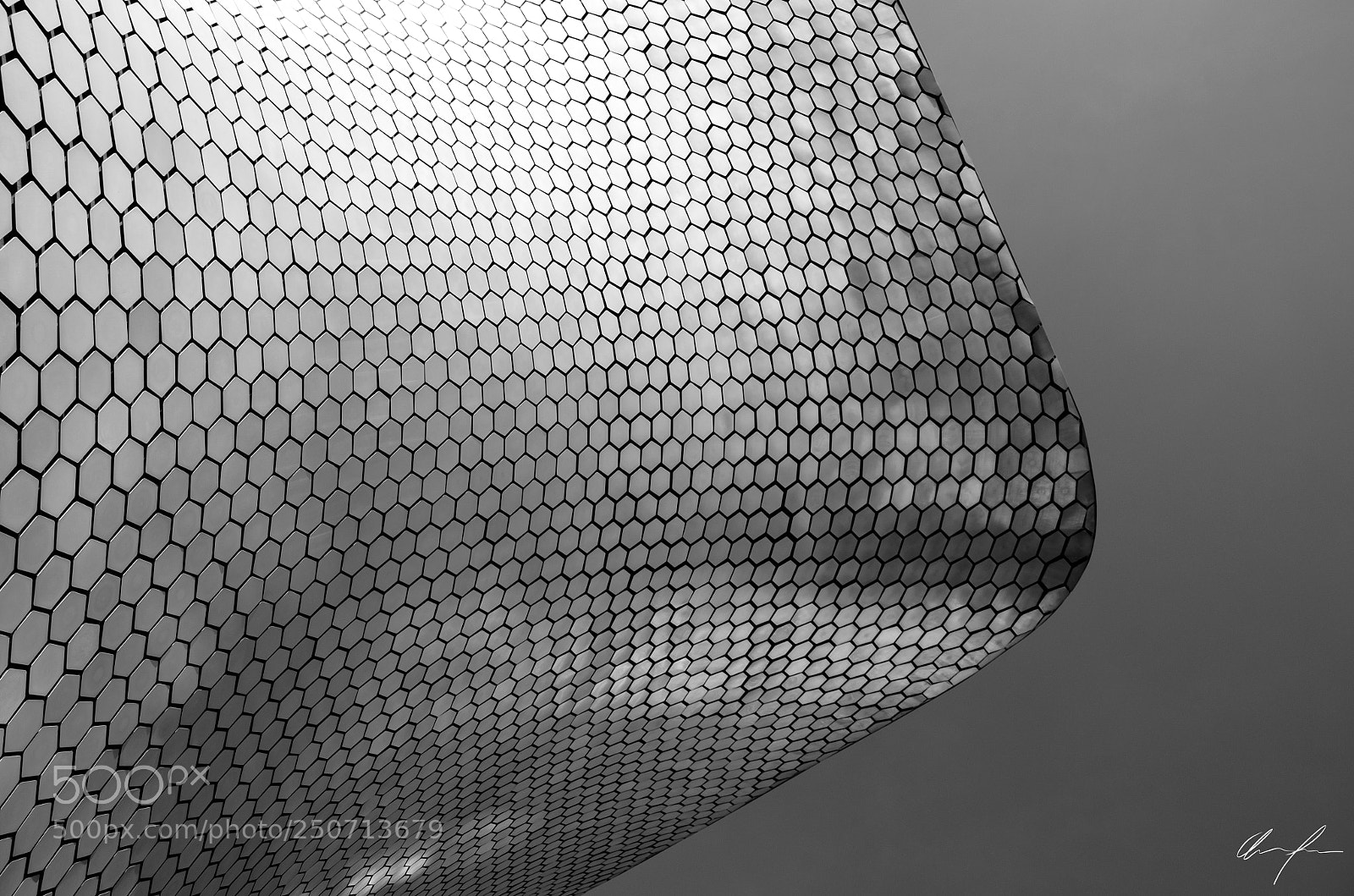 Nikon D5100 sample photo. Soumaya bw photography